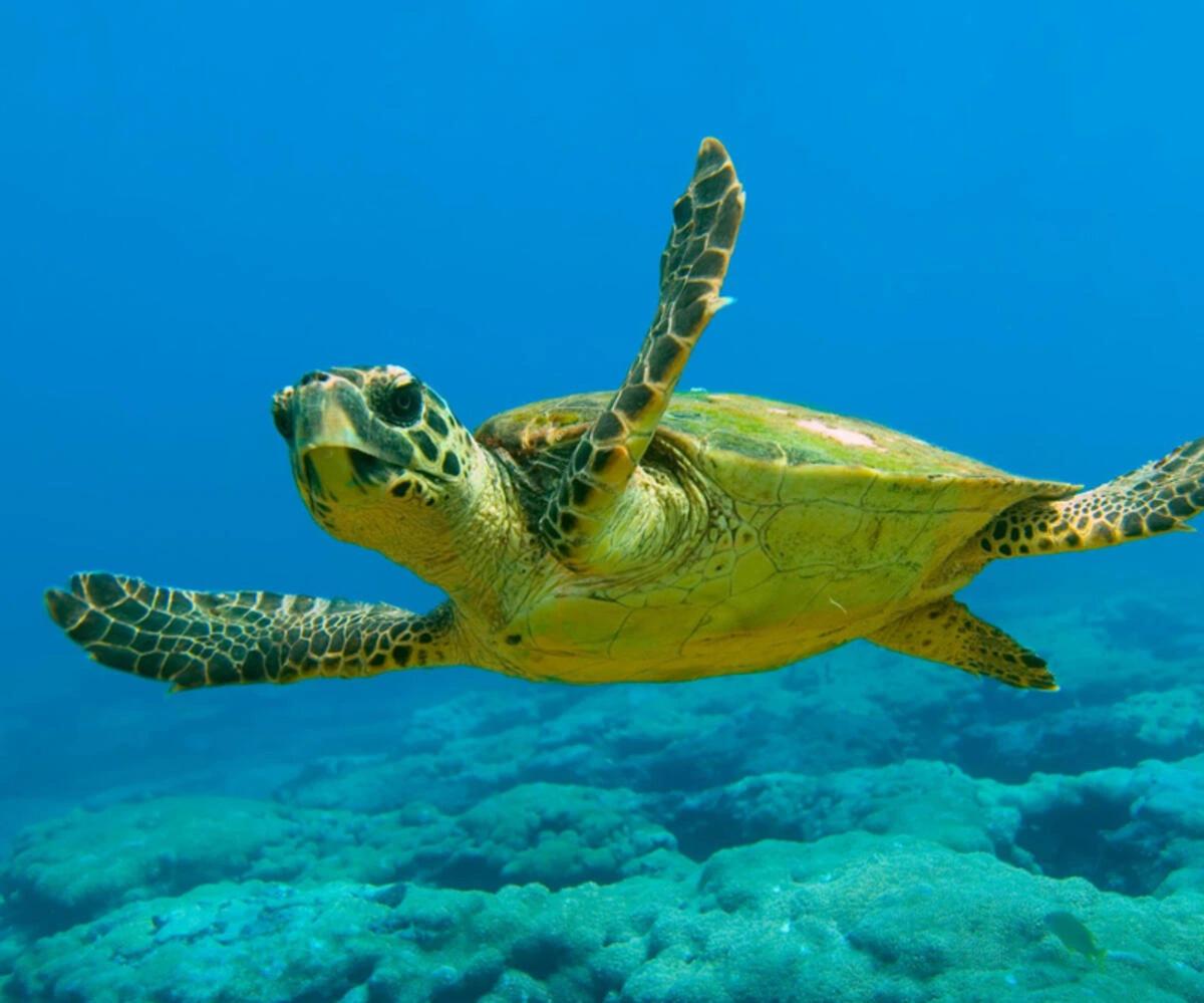 Bodrum to Dalyan Tour ing - 5